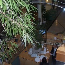 MenDan Magic Spa & Wellness Hotel, Zalakaros - Belső