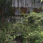 MenDan Magic Spa & Wellness Hotel Zalakaros - Belső