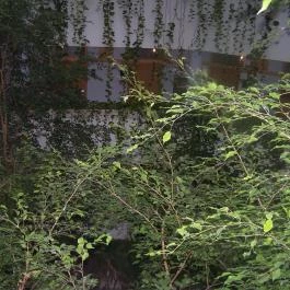 MenDan Magic Spa & Wellness Hotel, Zalakaros - Belső