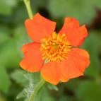 Hotel Szépalma Porva-Szépalmapuszta - Környék