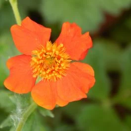 Hotel Szépalma Porva-Szépalmapuszta - Környék