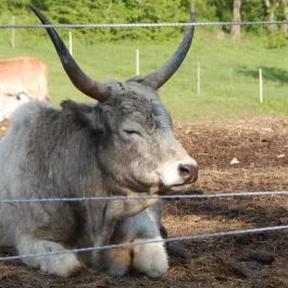 Hotel Szépalma Porva-Szépalmapuszta - Környék