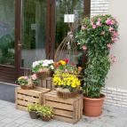 Nádas Tó Park Hotel Vasad - Külső kép