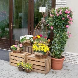 Nádas Tó Park Hotel Vasad - Külső kép