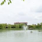 Nádas Tó Park Hotel Vasad - Medence/kert