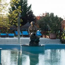 Orchidea Hotel Lipót Lipót - Medence/kert