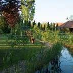 Orchidea Hotel Lipót Lipót - Medence/kert