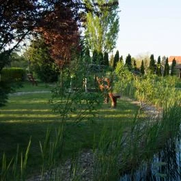 Orchidea Hotel Lipót Lipót - Medence/kert