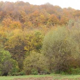 Tündérgyöngye Apartmanház Zirc - Környék