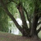 Zichy Park Hotel Bikács - Környék