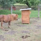 Zichy Park Hotel Bikács - Egyéb