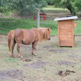 Zichy Park Hotel, Bikács - Egyéb