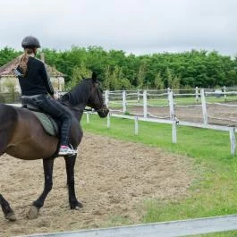 Zichy Park Hotel, Bikács - Egyéb