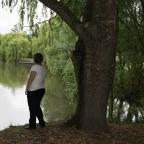 Zichy Park Hotel Bikács - Környék