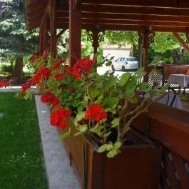 Fogadó a hat testvérhez Dömsöd - Külső kép