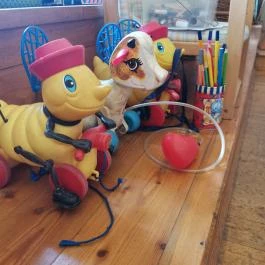 Művész Presszó Pécs - Egyéb