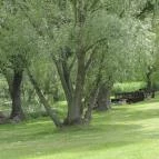 Diamant Hotel Conference, Spa & Family Resort Dunakiliti - Környék