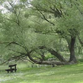 Diamant Hotel Conference, Spa & Family Resort, Dunakiliti - Környék