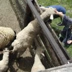 Diamant Hotel Conference, Spa & Family Resort Dunakiliti - Környék