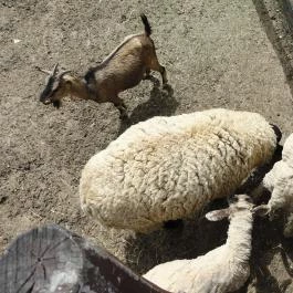 Diamant Hotel Conference, Spa & Family Resort, Dunakiliti - Környék