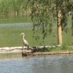 Fűzfa Hotel és Pihenőpark Poroszló - Környék