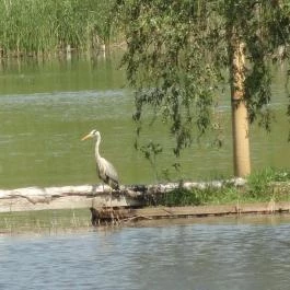 F?zfa Hotel és Pihen?park, Poroszló - Környék