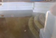 Kenese Club Hotel Balatonkenese