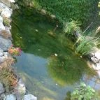 Oázis Hotel Nagykanizsa - Környék