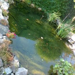 Oázis Hotel Nagykanizsa - Környék