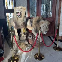 Borostyán Med Hotel Nyíradony-Tamásipuszta - Egyéb