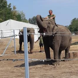 Richter Safari Park Nagykőrös - Egyéb