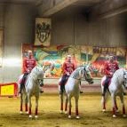 Hotel Kapitány Superior Wellness Sümeg - Környék