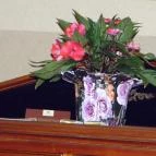 Hotel Divinus Debrecen - Egyéb