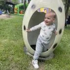 Gyulai Dínó Tanya Gyula - Egyéb