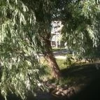 Duna Garden Hotel Étterme Budapest - Külső kép