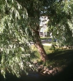 Duna Garden Hotel Étterme