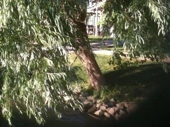 Duna Garden Hotel Étterme Budapest