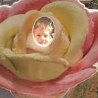 Gelarto Rosa Budapest - Belső