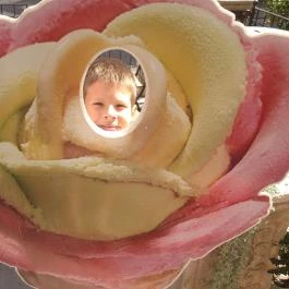 Gelarto Rosa Budapest - Belső