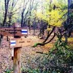 Tengerszem Szálló Jósvafő - Környék