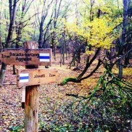 Tengerszem Szálló, Jósvafő - Környék