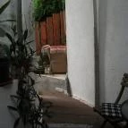 Faház Villa Apartman Miskolctapolca - Környék