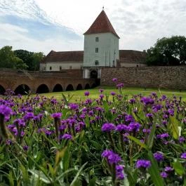 Nádasdy Ferenc Múzeum Sárvár - Egyéb