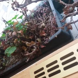 Fezőr Étterem Körmend - Belső