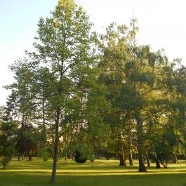 Erzsébet Szálloda Balatonőszöd, Balatonőszöd - Környék