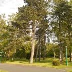 Erzsébet Szálloda Balatonőszöd Balatonőszöd - Környék