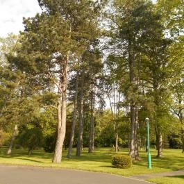 Erzsébet Szálloda Balatonőszöd, Balatonőszöd - Környék