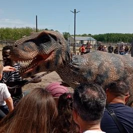 Richter Safari Park Nagykőrös - Egyéb