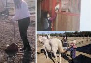 Berkenye Lovasudvar Mórahalom