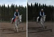 Berkenye Lovasudvar Mórahalom